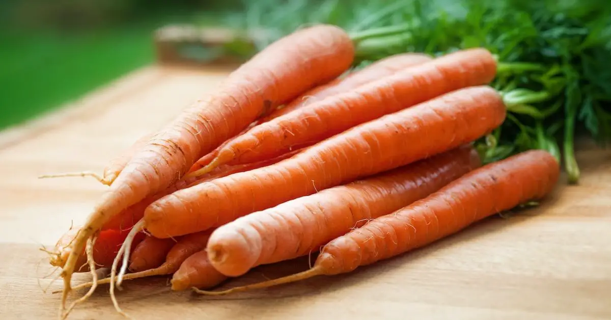 11 Bad Companion Plants for Carrots You Should Avoid