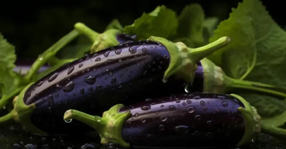 7 Eggplant Growing Mistakes That You Can Avoid